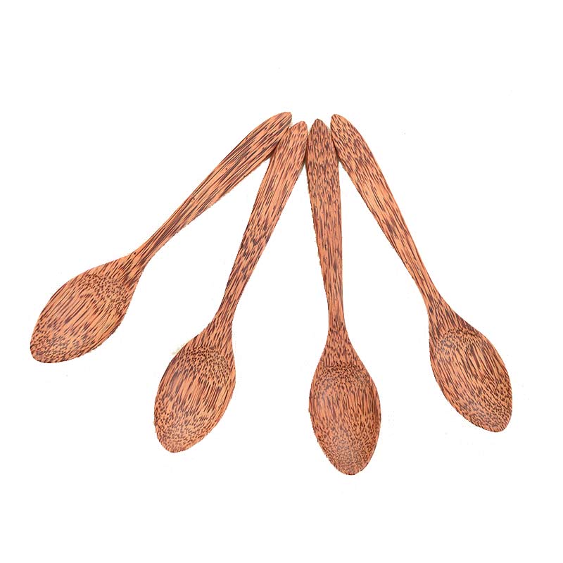 Coconut Shell Spoon BS276116